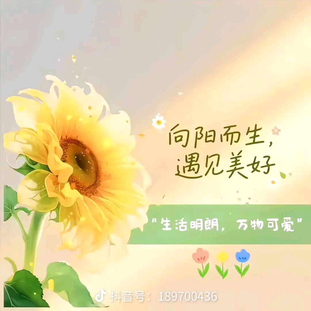 不知道起啥名
