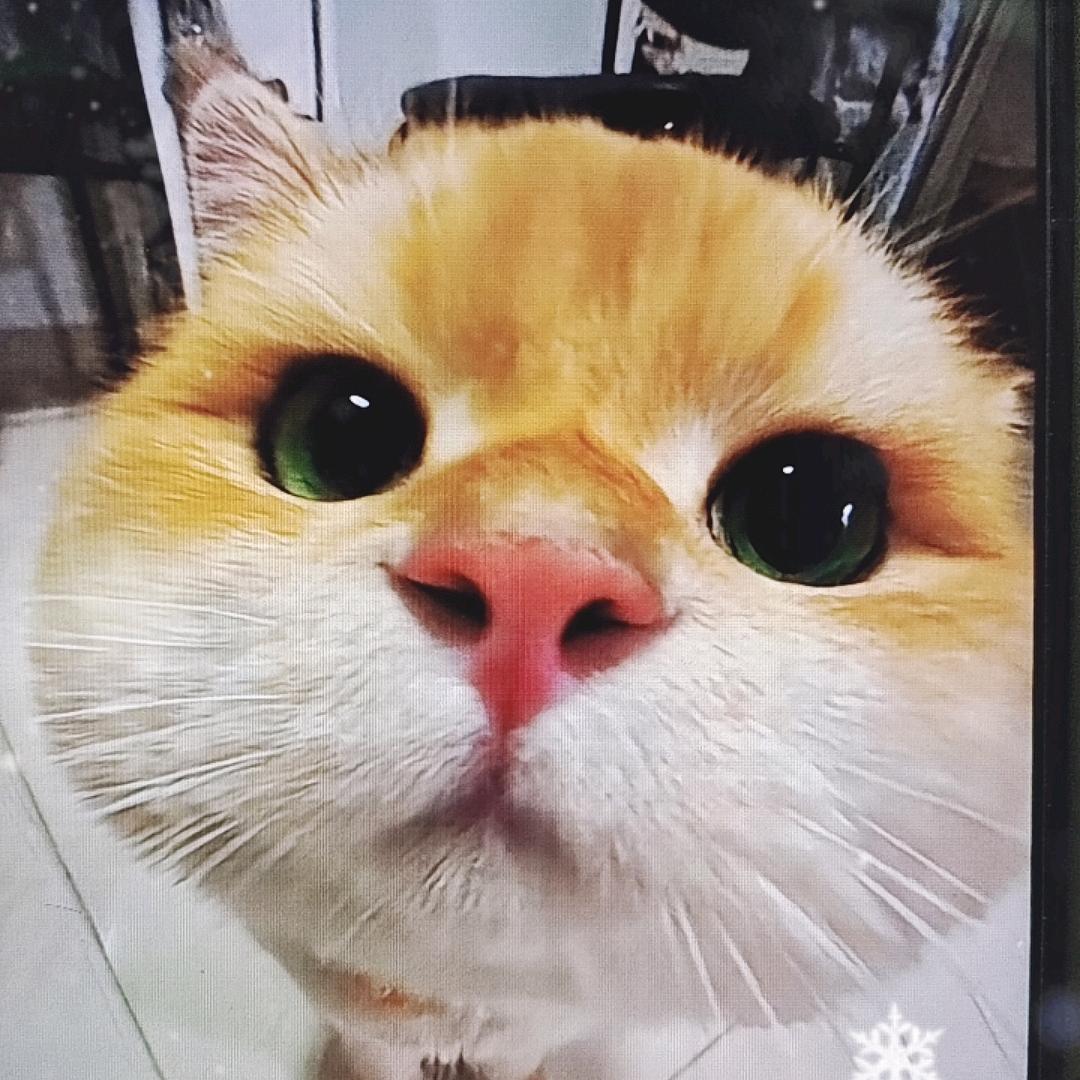 心所向、皆可往