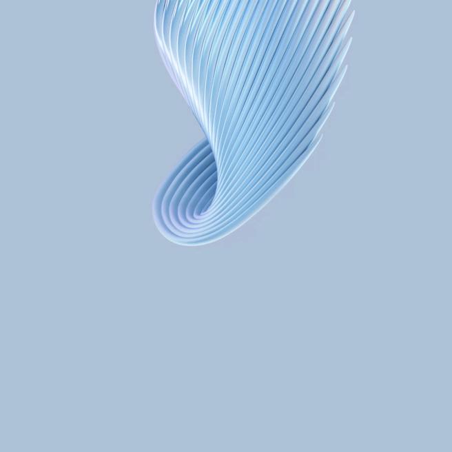 海参炒面海蛎子