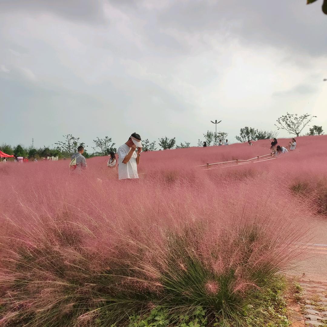 葡萄🍇柚子百货