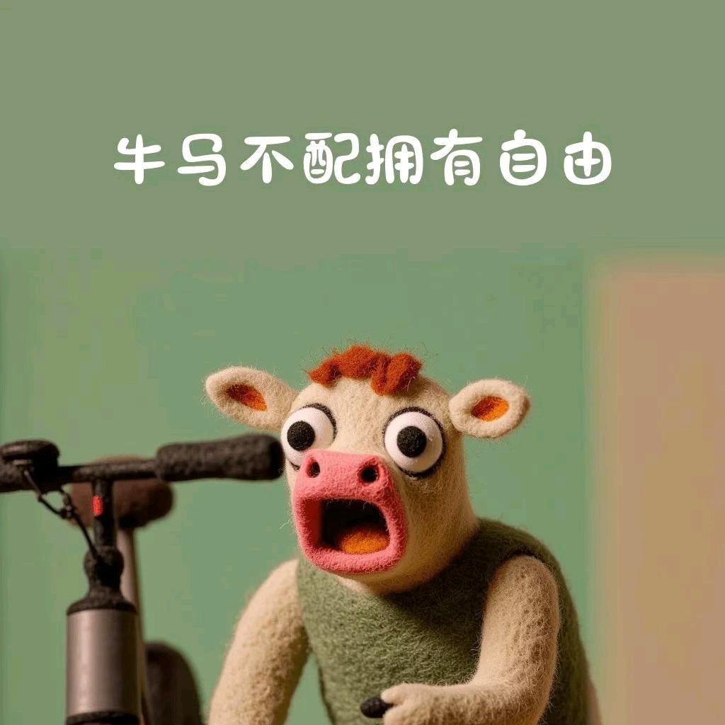 耿姐～货运