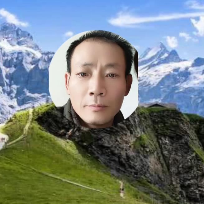 梧桐夜雨☔🌧️