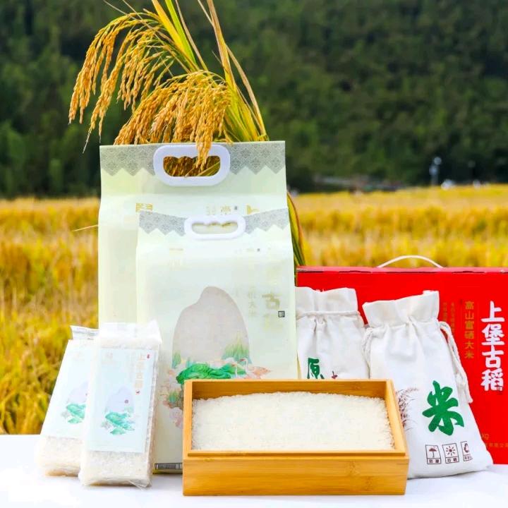 上堡高山梯田大米