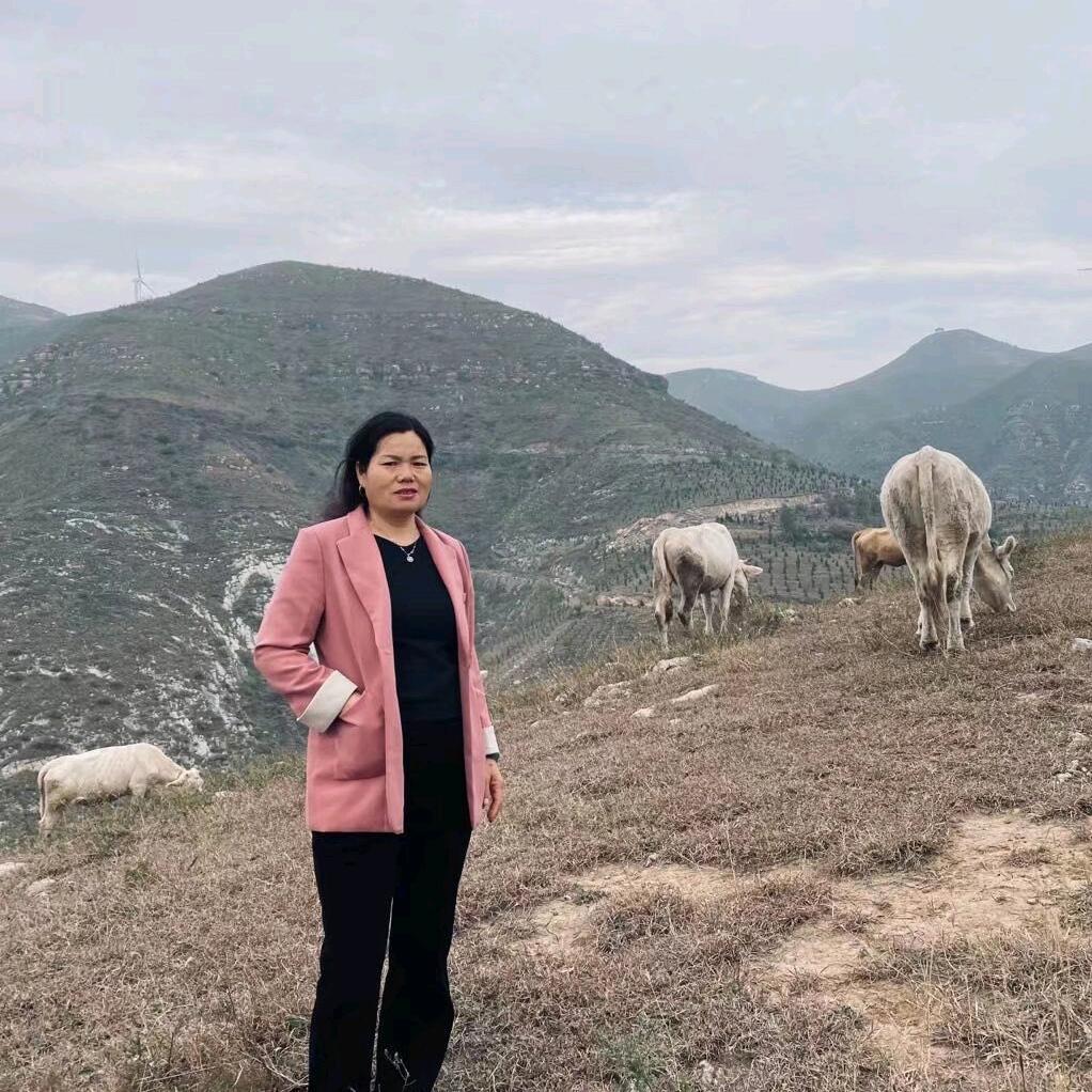 十年光伏招代理