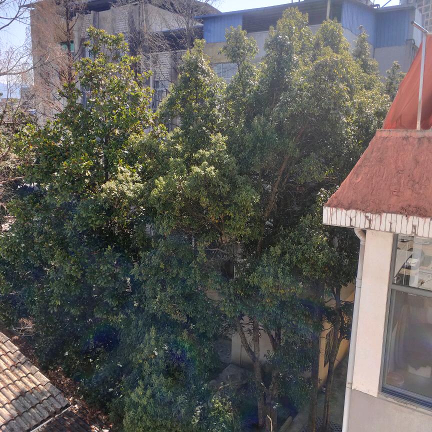 用户3396623649526
