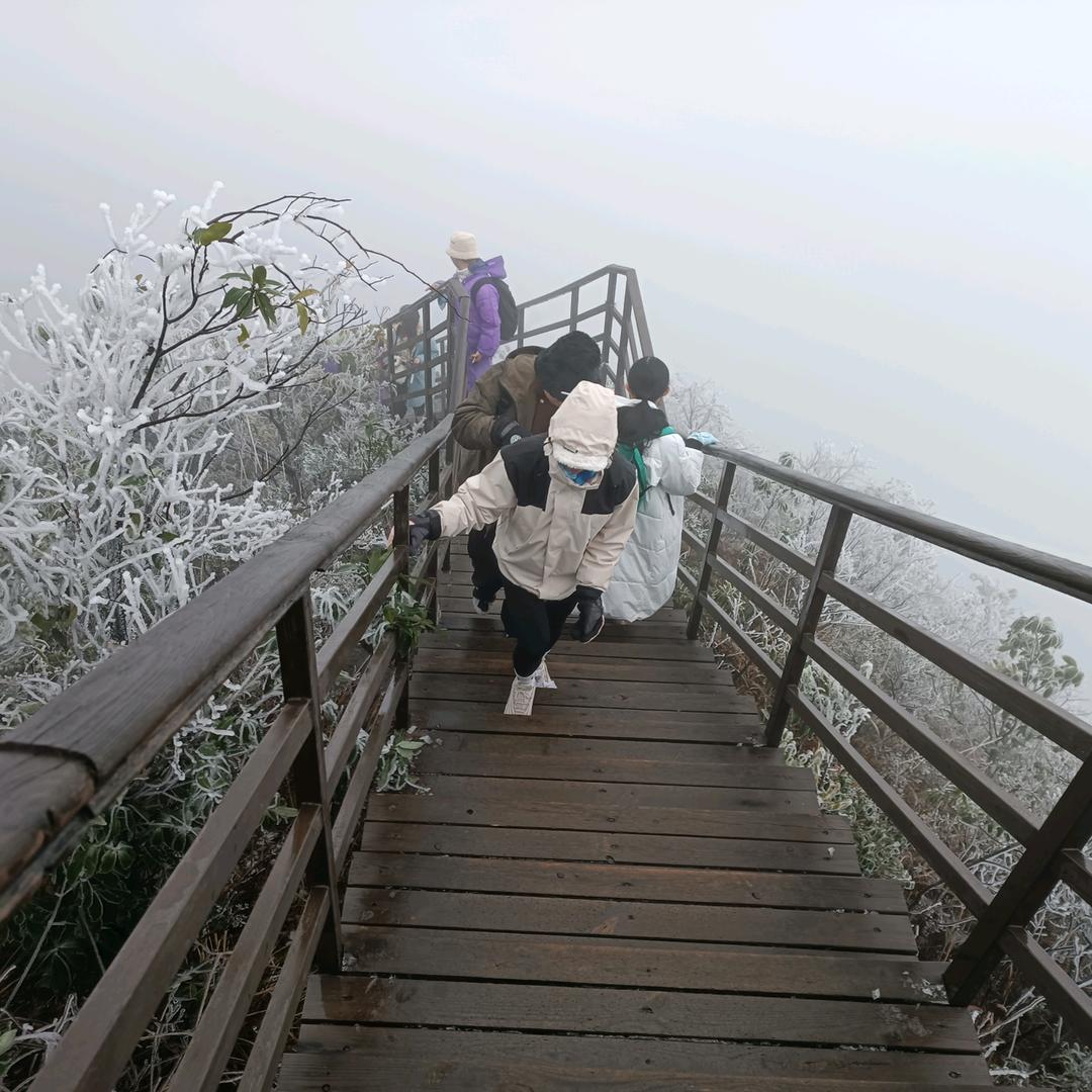 精选好物