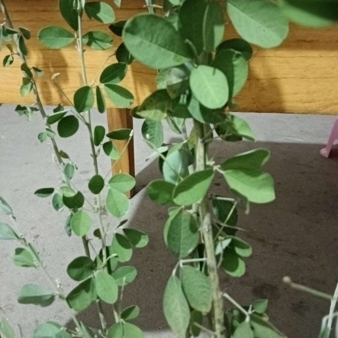 随便玩玩