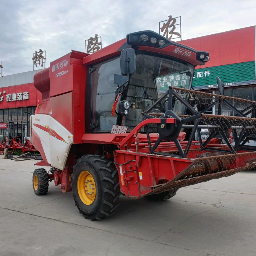 $  随  🐙   随      意