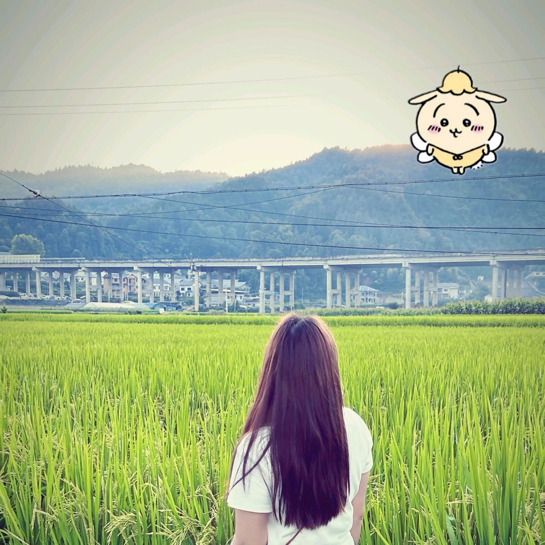 静🌺