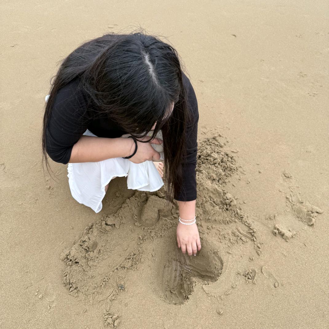 爱宝