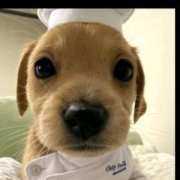 豆豆～
