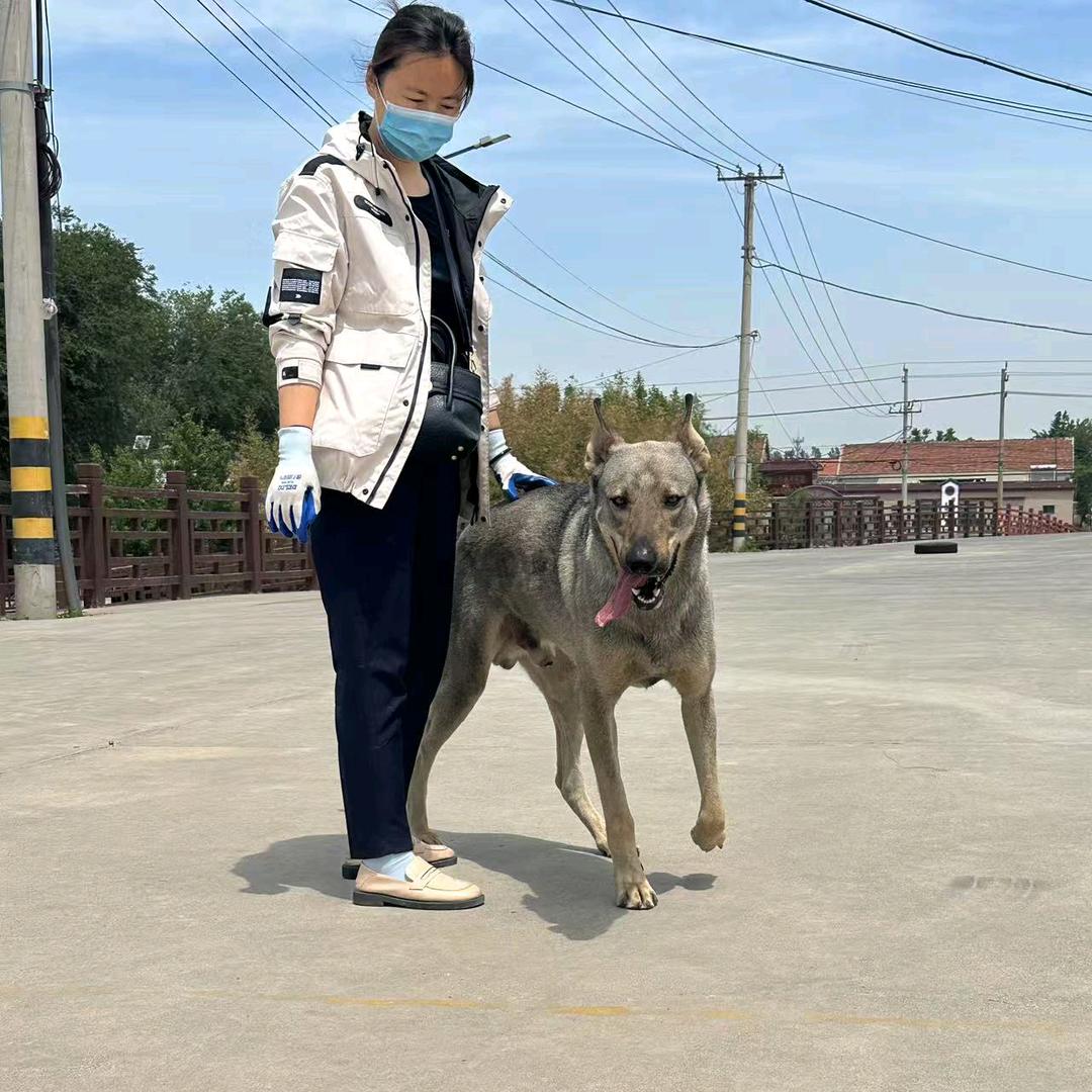 张*小张