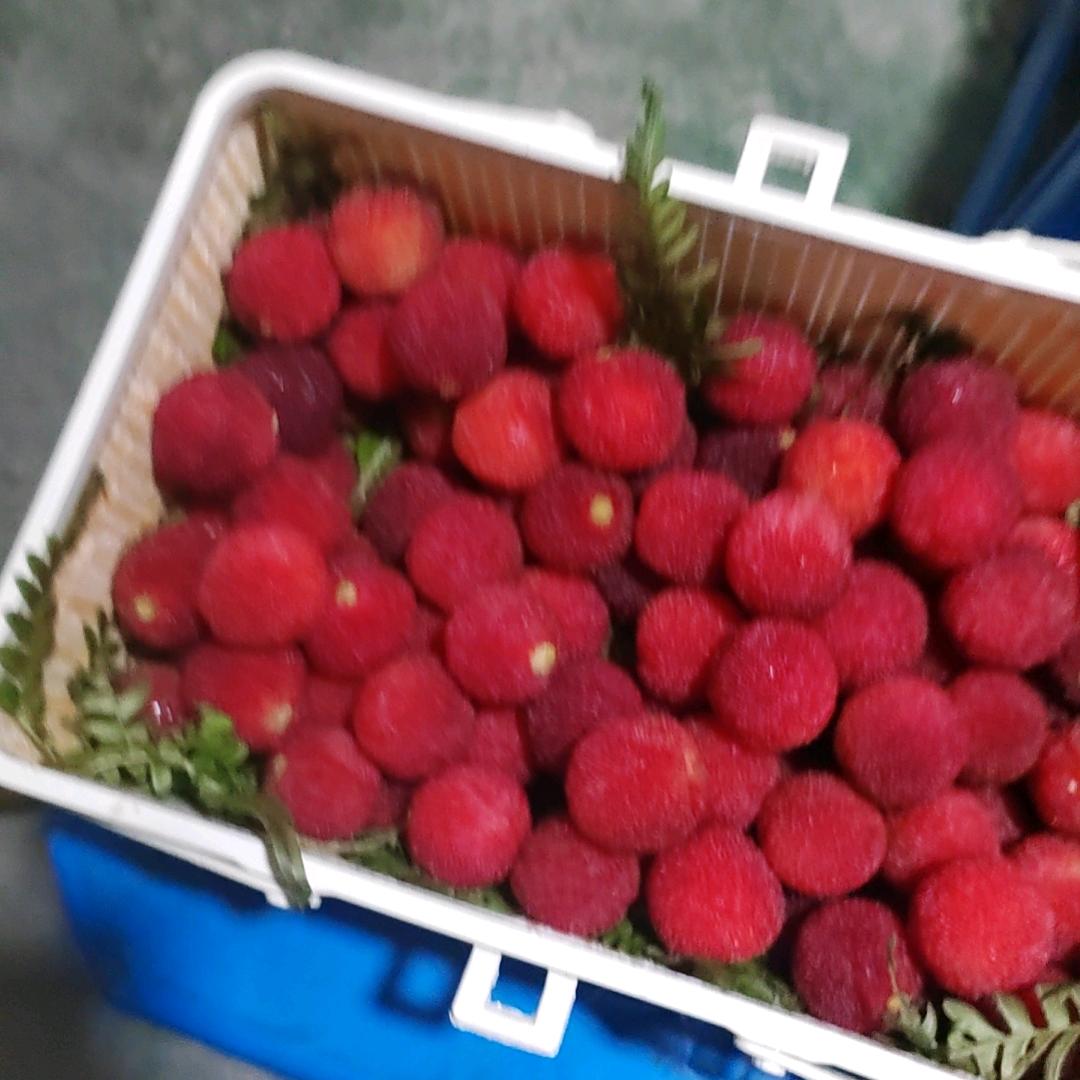 人财两空不忘初心