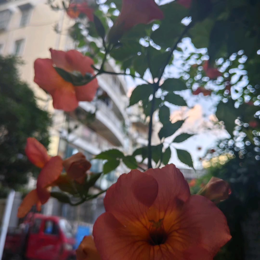 今生有你💋💋🌹🌹🌹