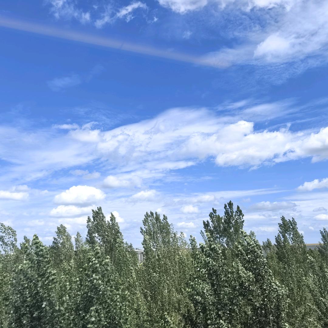 至臻