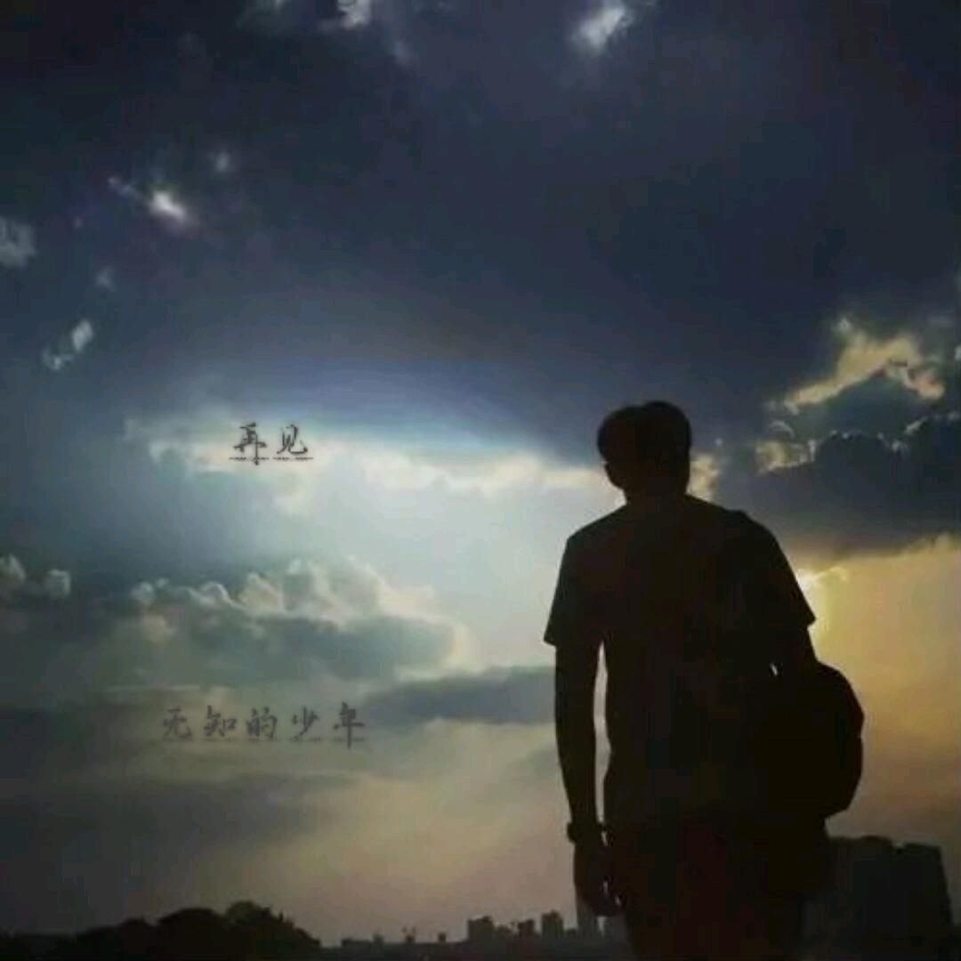 停停停