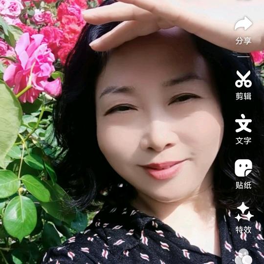 胡四姐