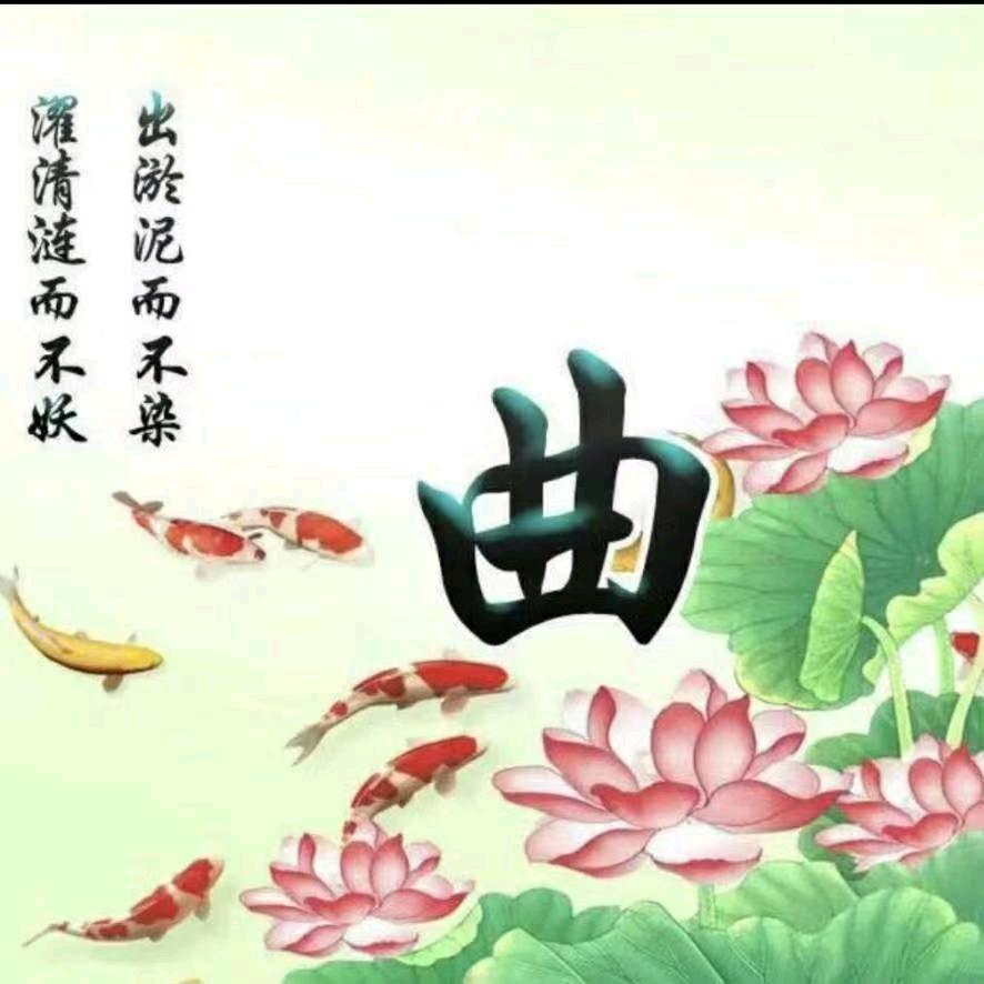 向阳而生