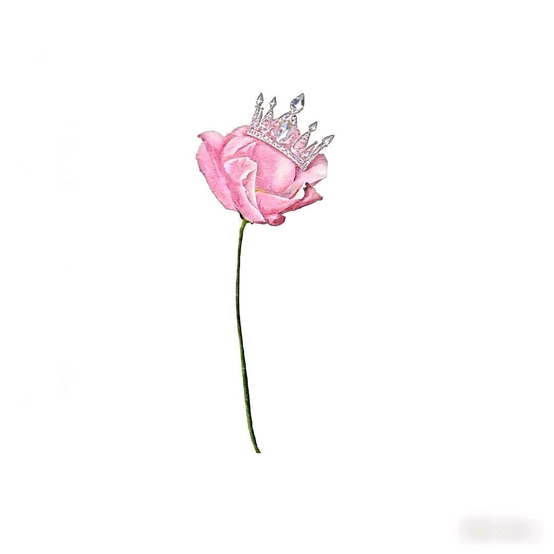 芊Qᴗo·ᰔᩚ