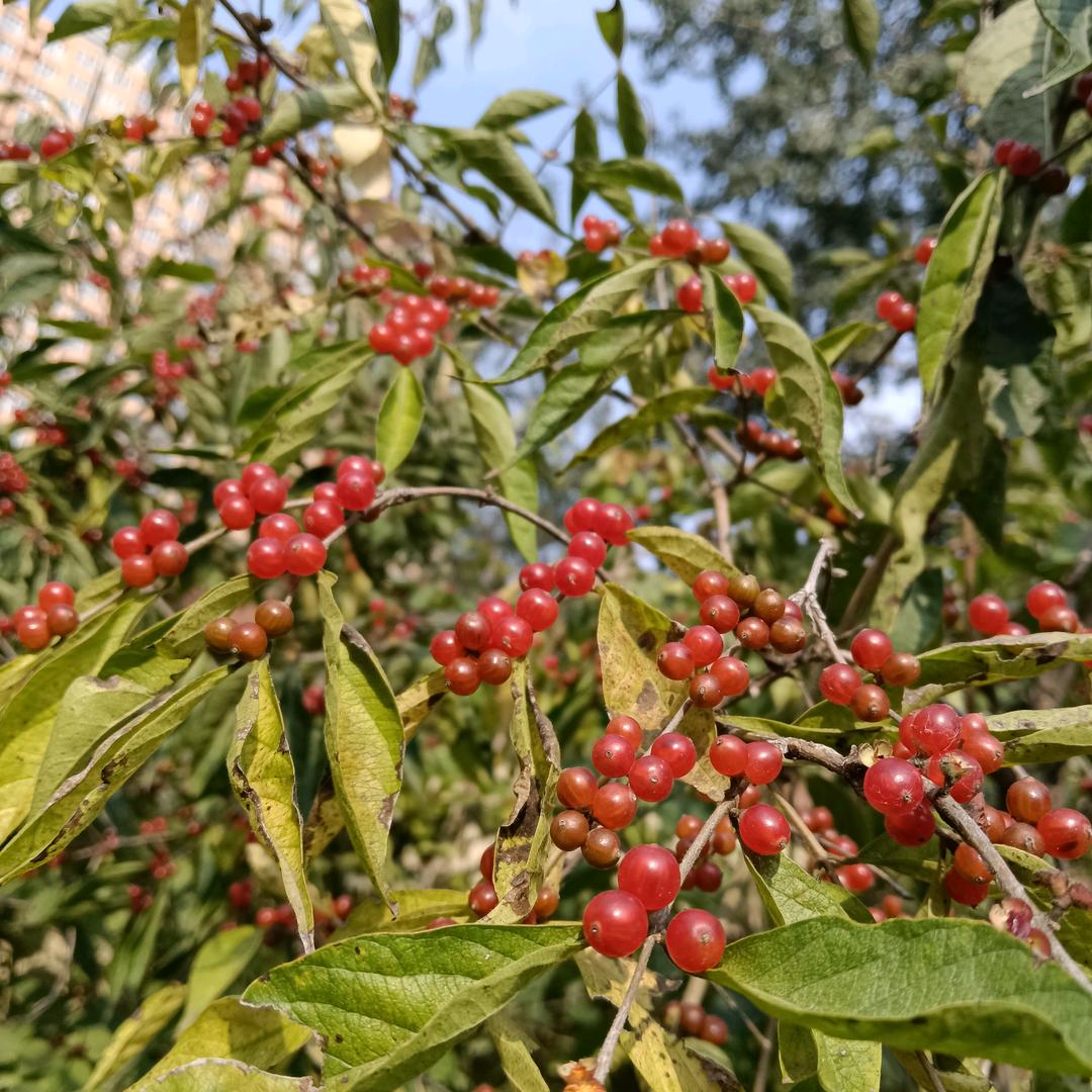 用户5687511925129幸福人生