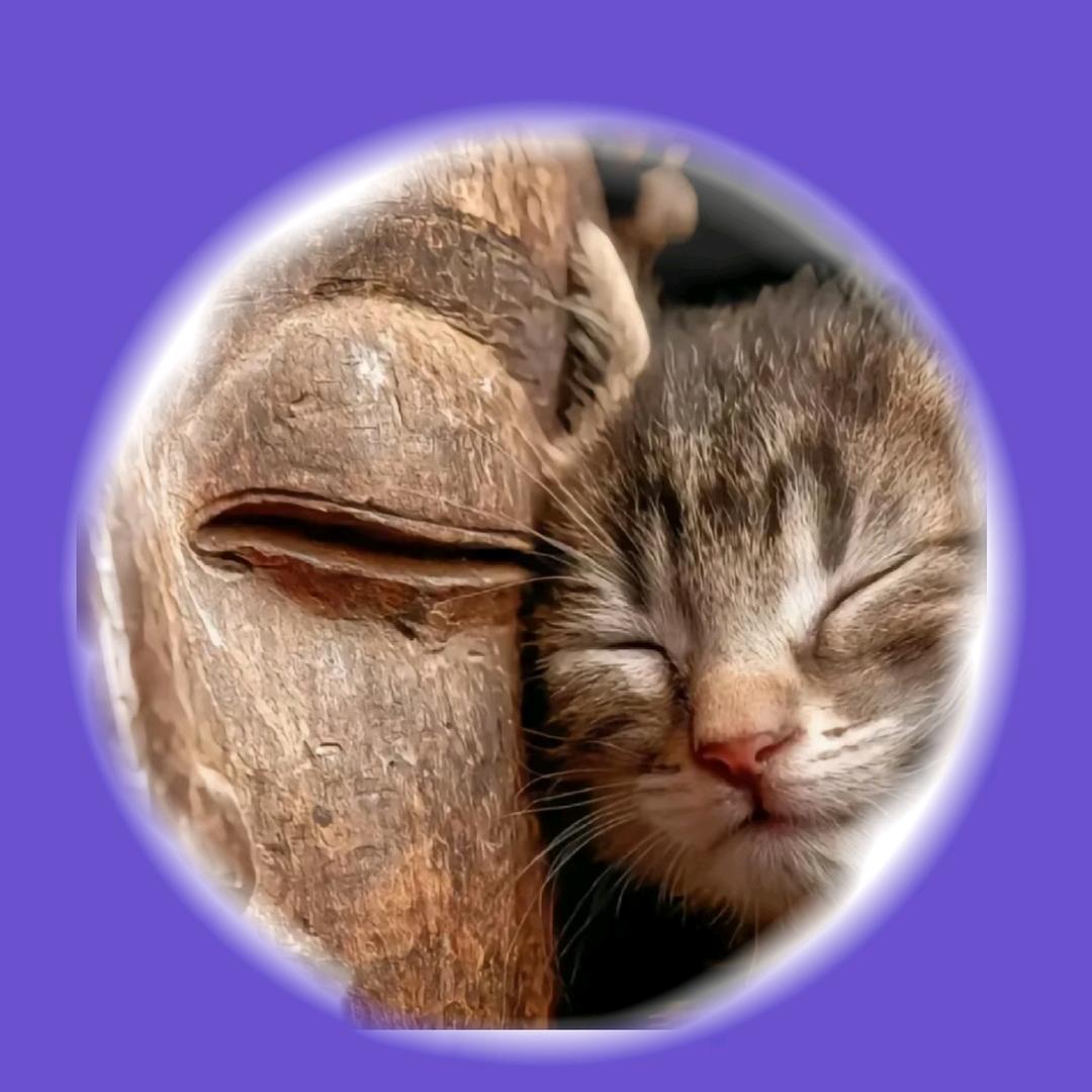 茶酒一壶（12月5号开邀请）