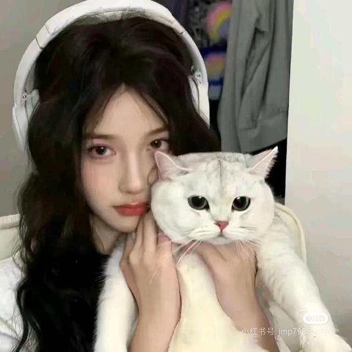 喵小鱼