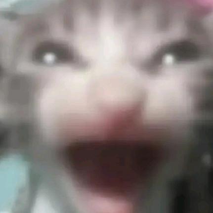 xiaoo