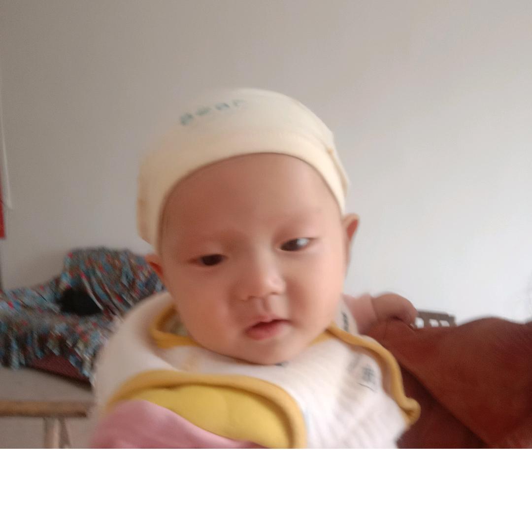 阳小英
