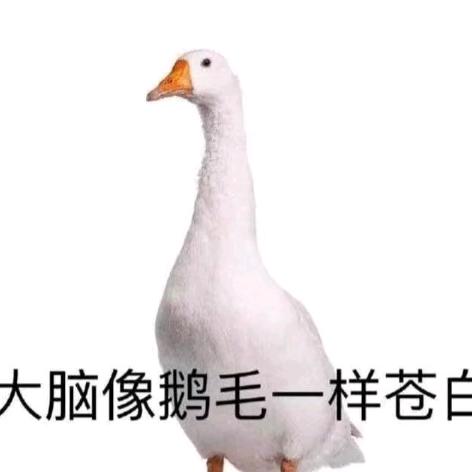 绝育大蟑螂