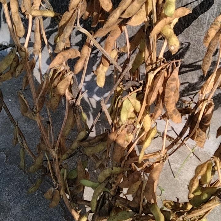 凡事靠自己董二哥