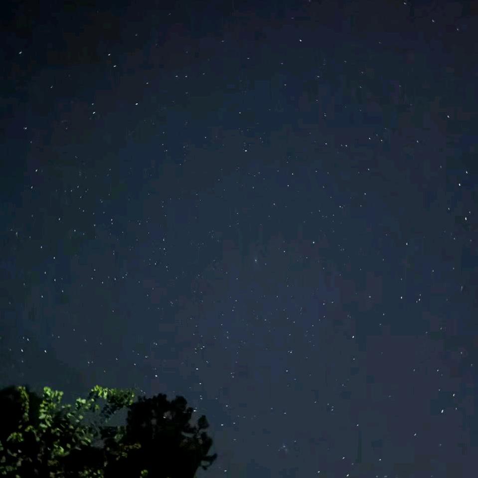 卡比兽