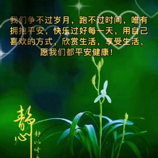 秋日暖羊
