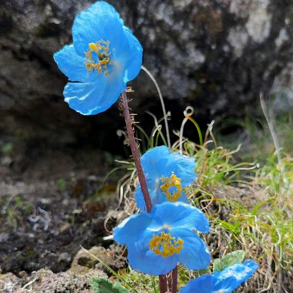 星光不问赶路人