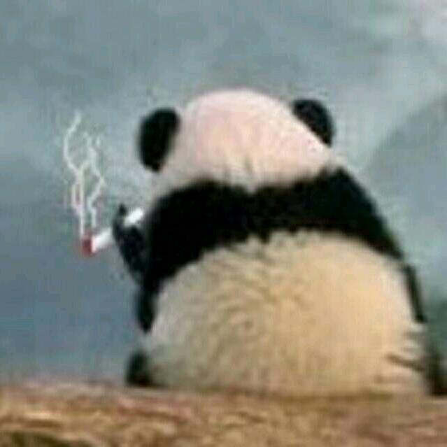 酥.