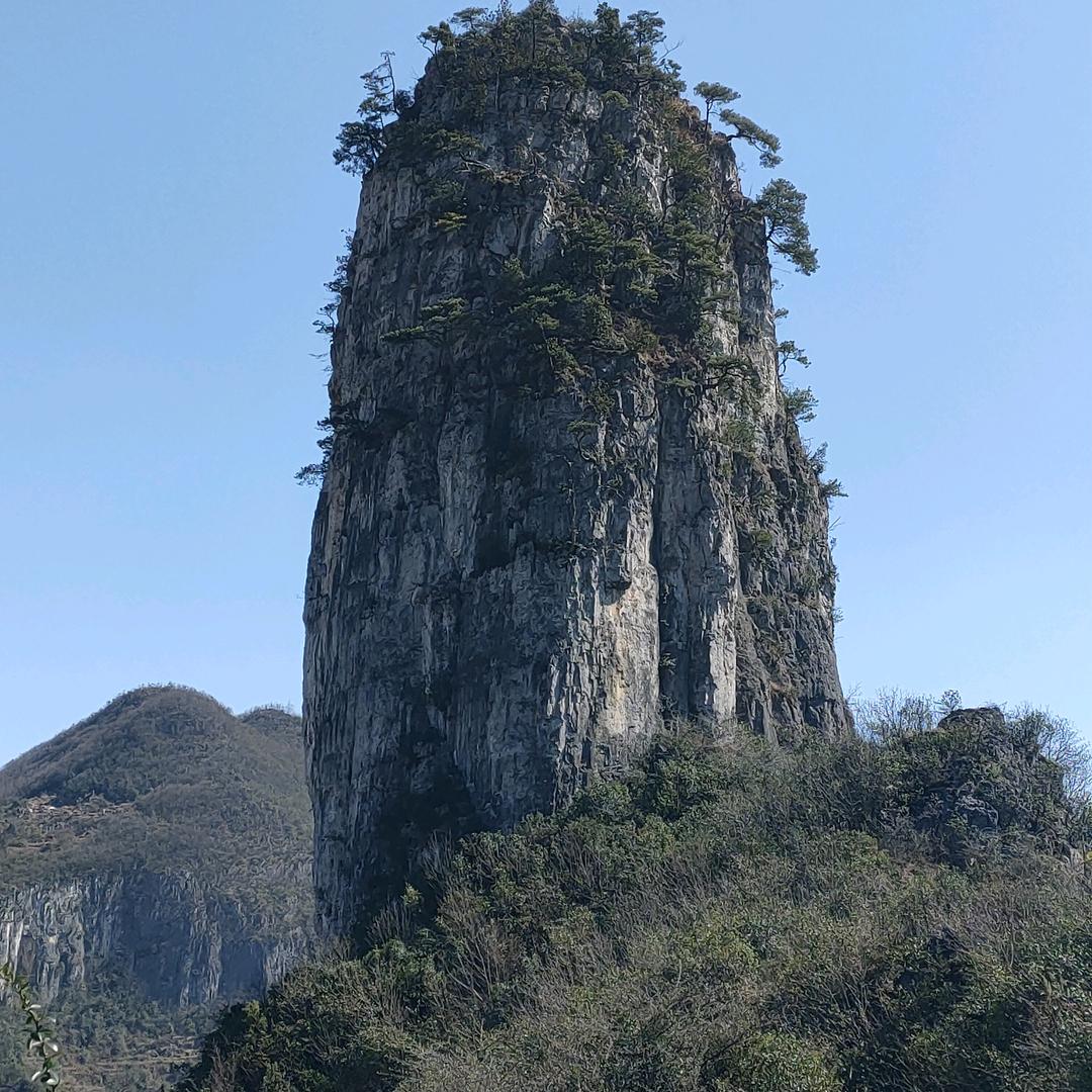 树江天天好物分享