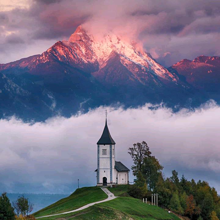 白日@苏跪妃真苏扶