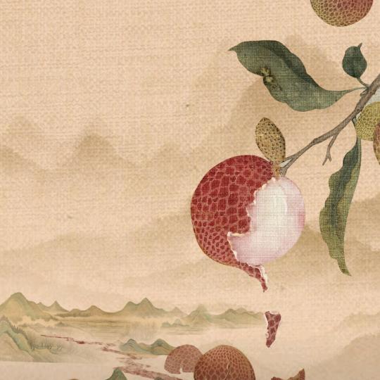 鸽子姐
