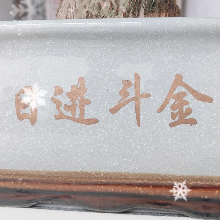 大吉老师….理疗（烟台牟平店）