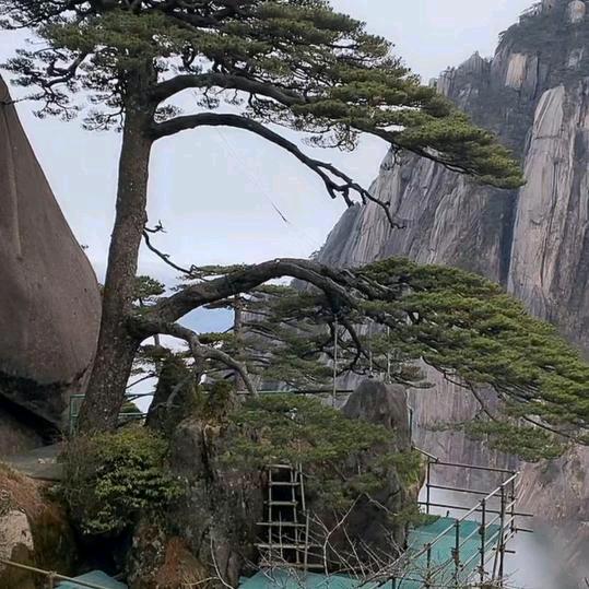 一个人自由