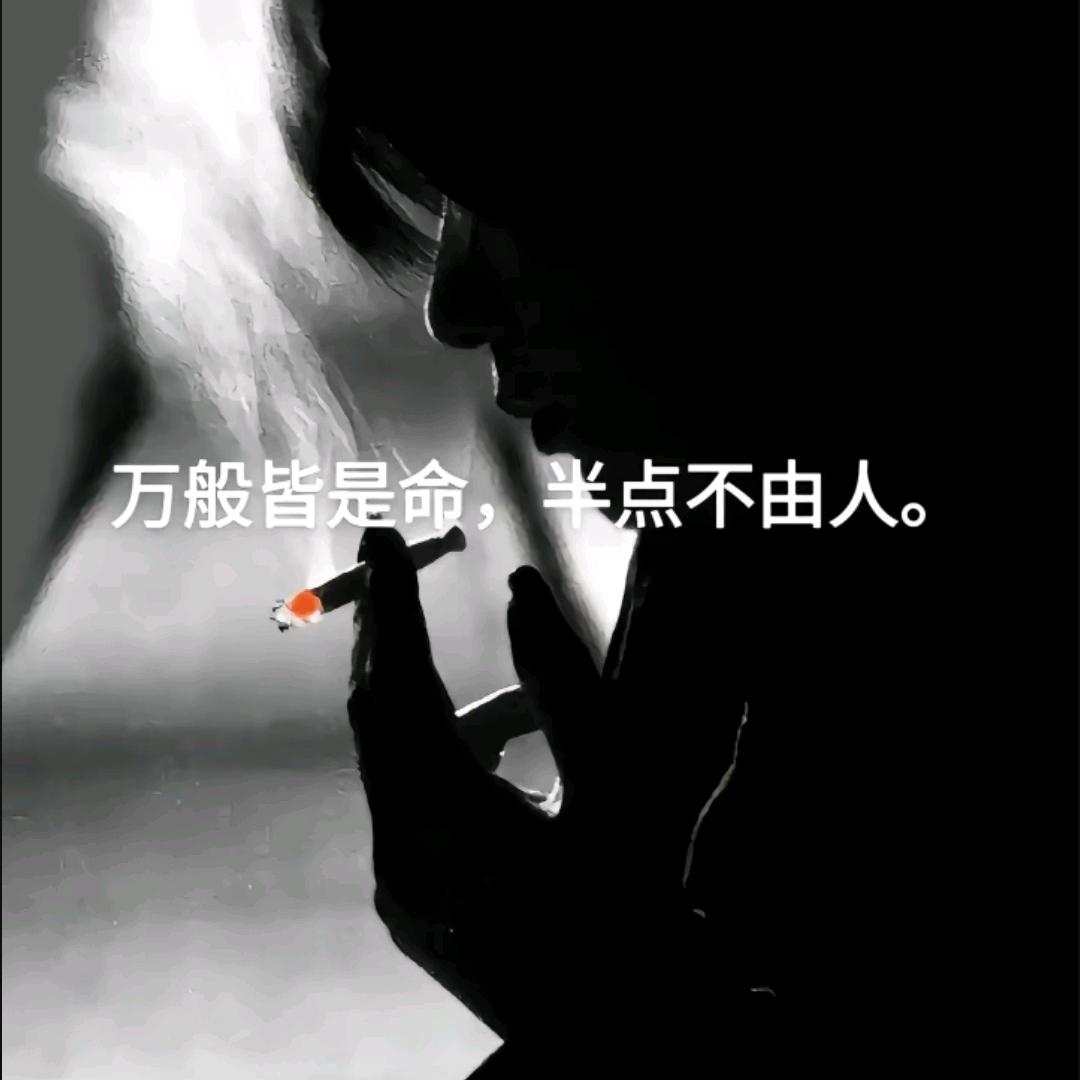 那年夏季