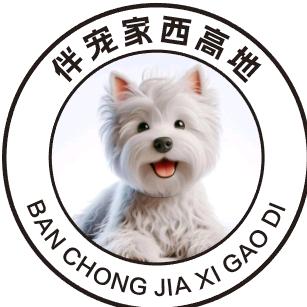 昆明伴宠家西高地☞买狗斯聊