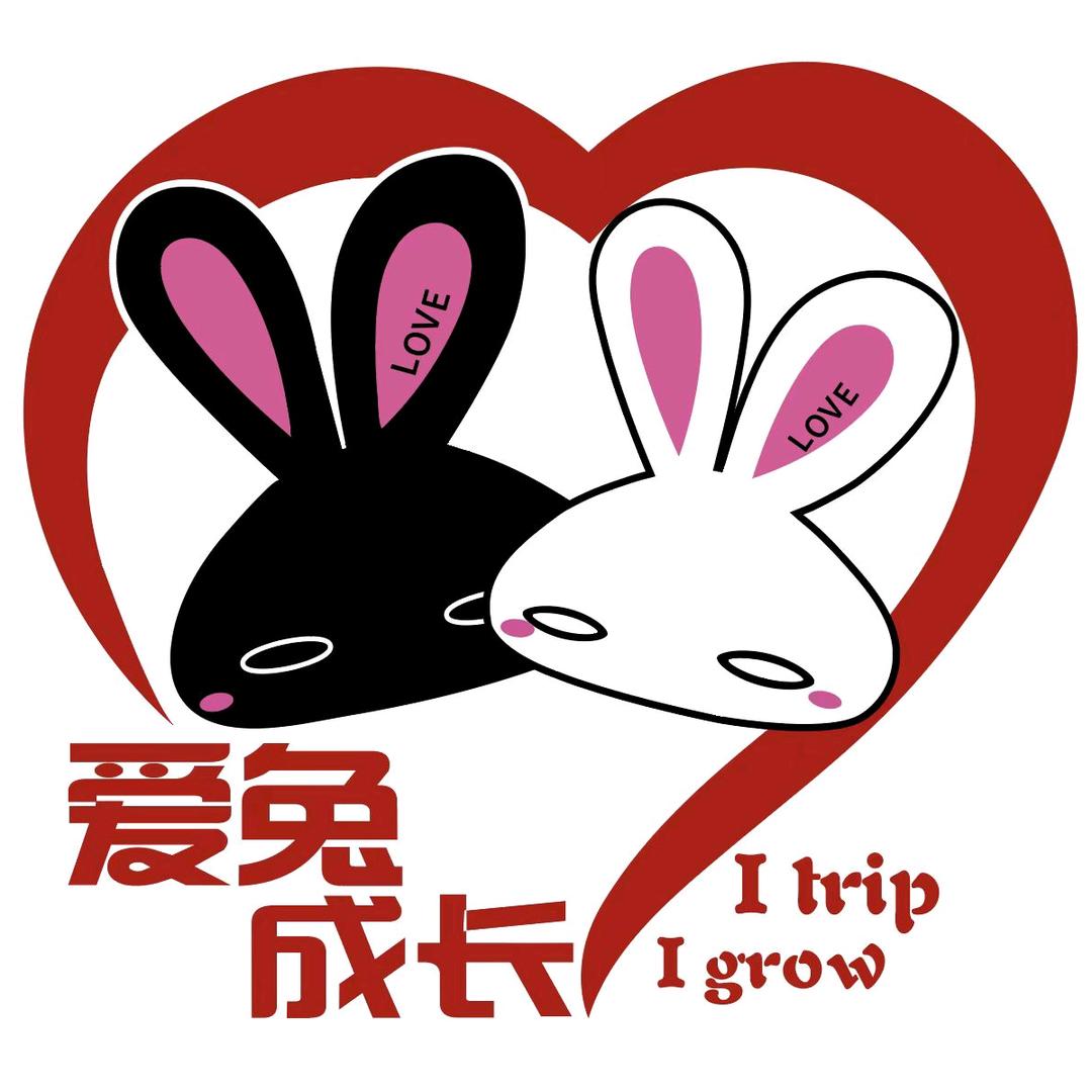 爱兔研学