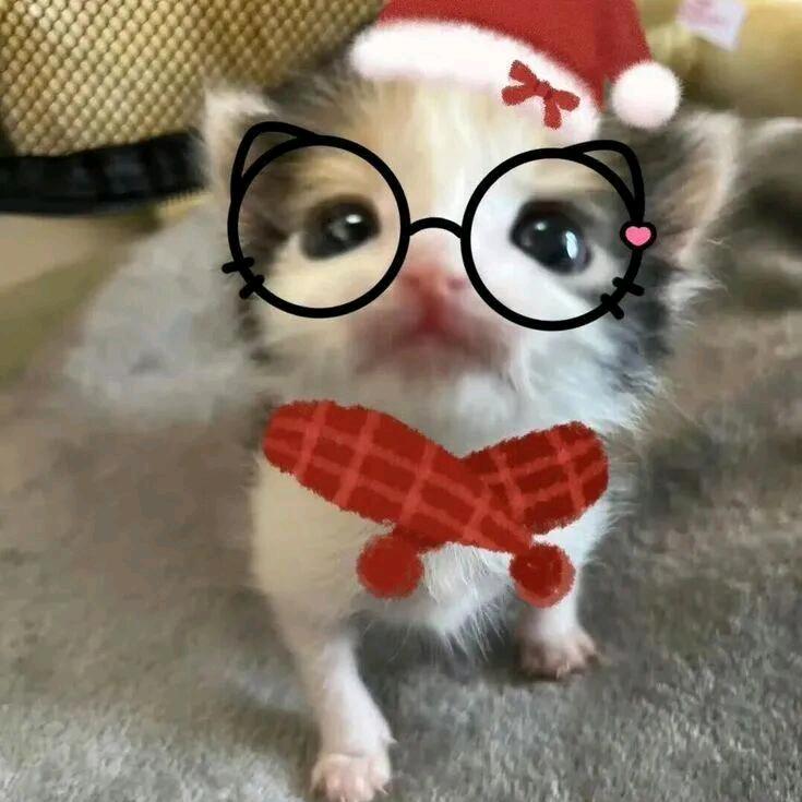 重生之九十二岁变态老蟑螂调戏八十九岁牛爷