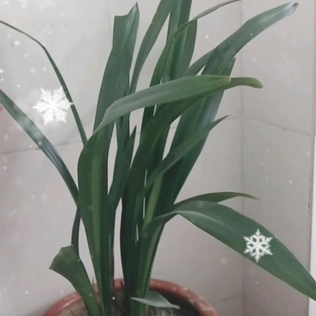 锺嵘岁月