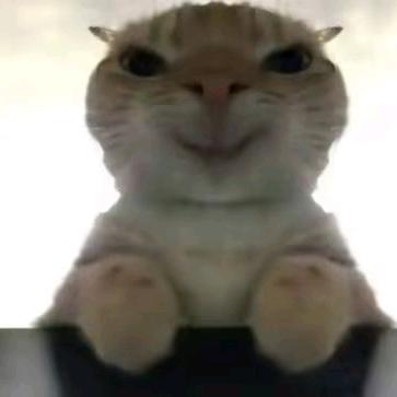 屁小剑