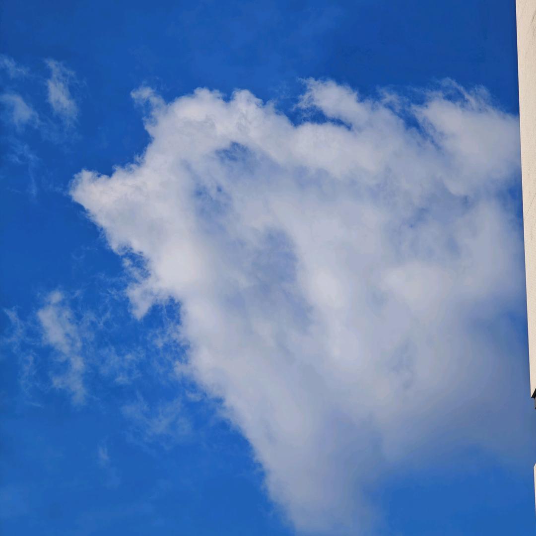 哈哈哈哈哈哈哈