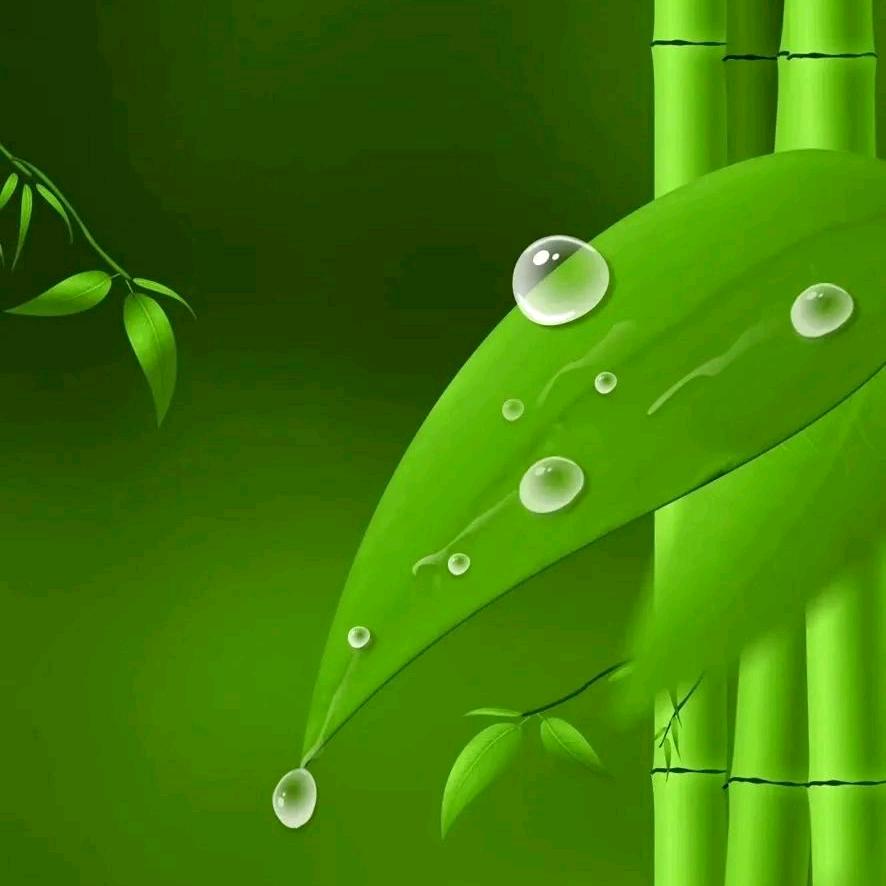 〾凌晨的༘雨💦