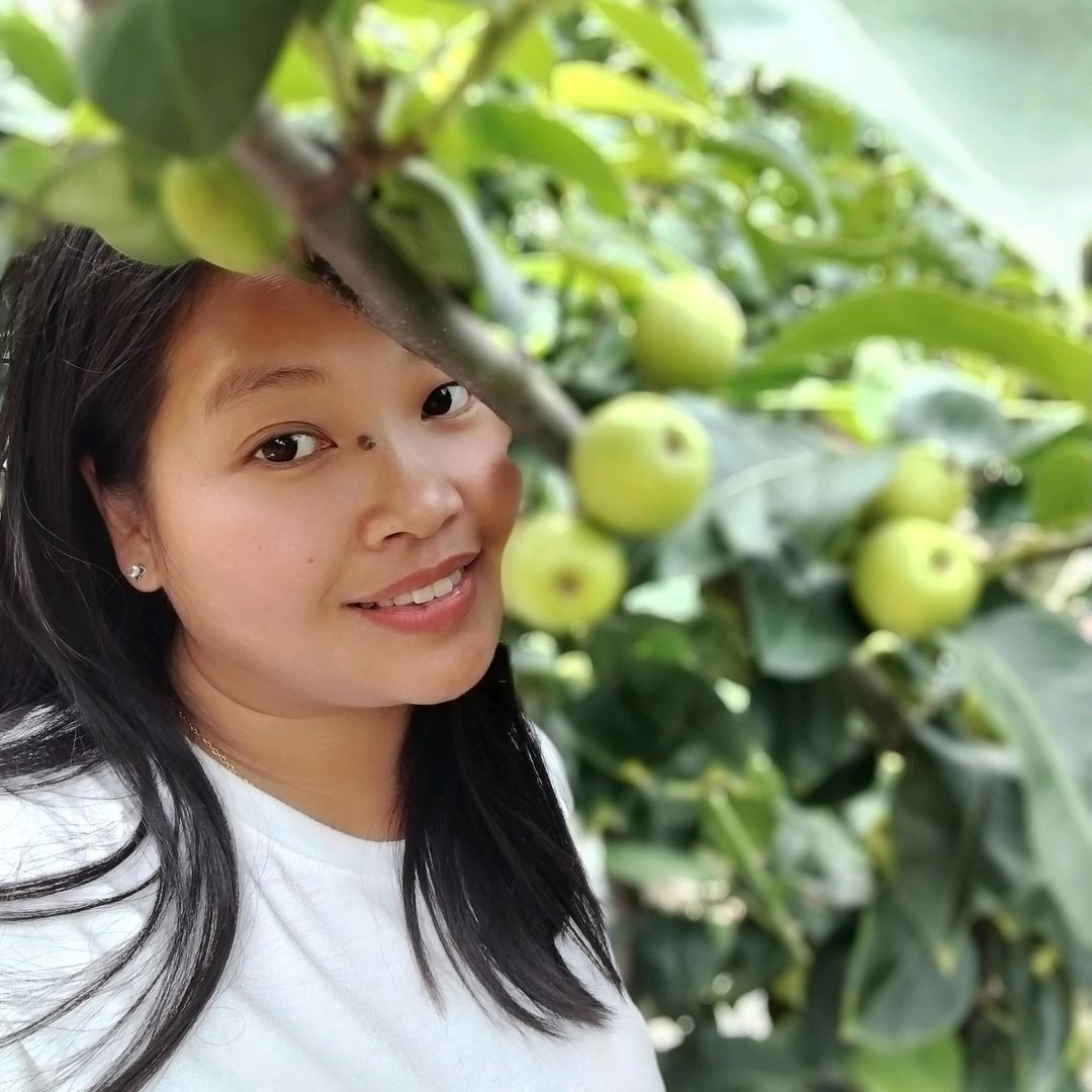 翠冠梨🧚‍♂️琴儿