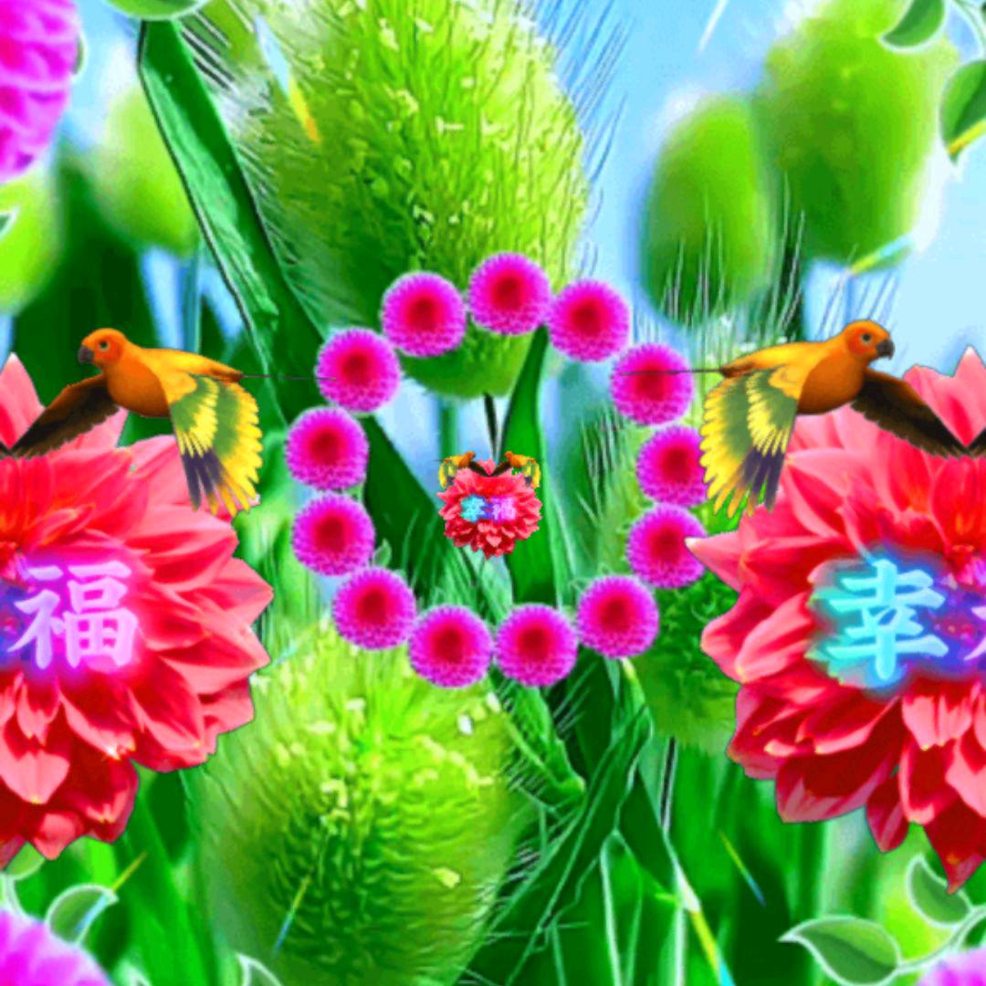 花开富贵.🌹