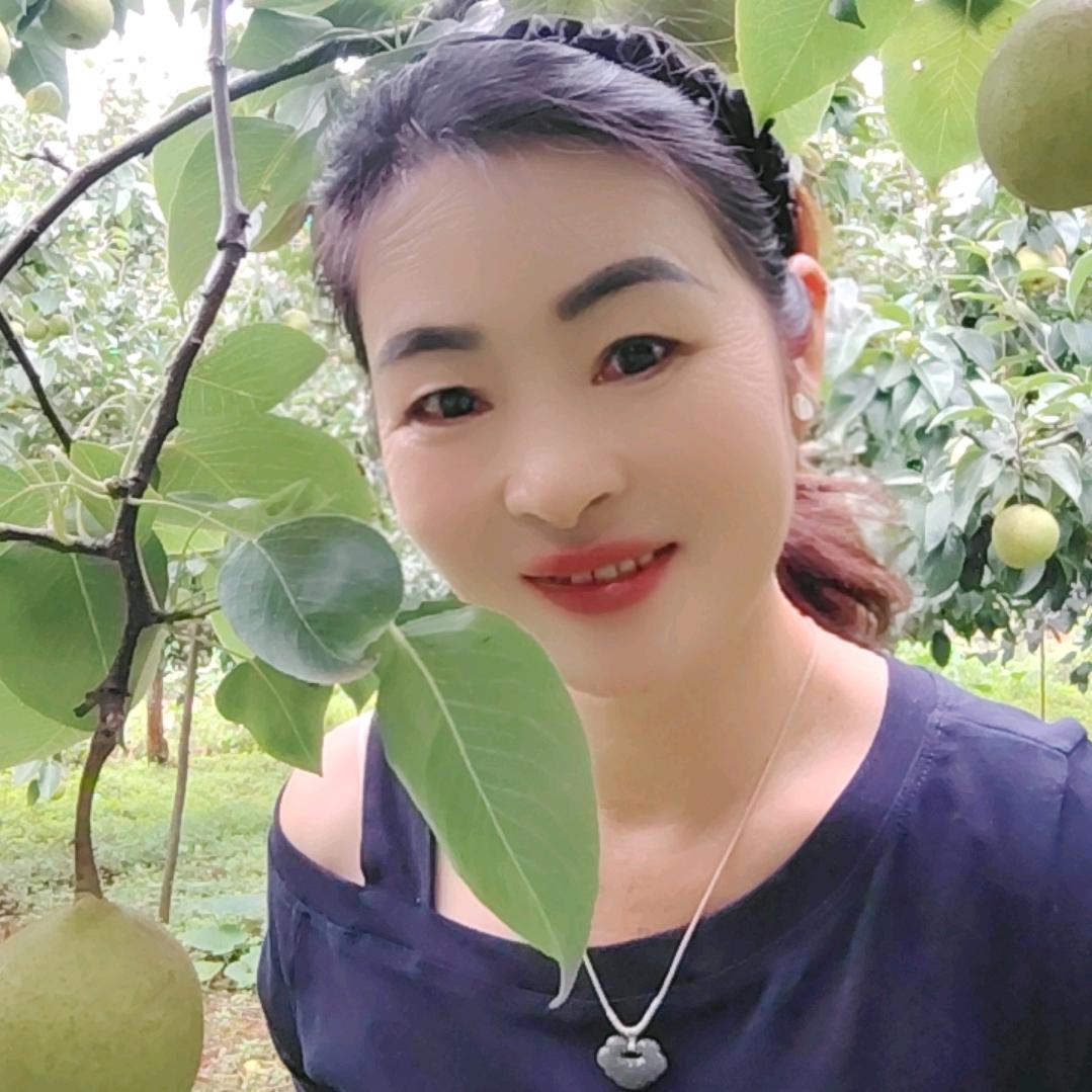 往事随风km